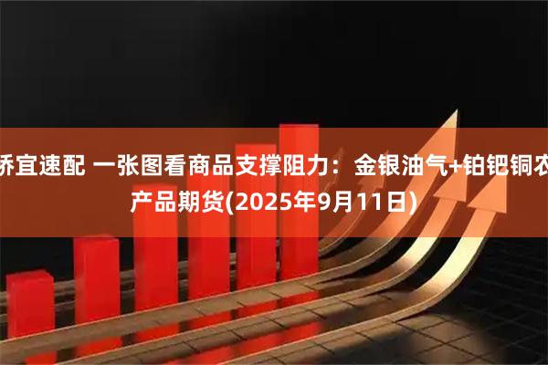 桥宜速配 一张图看商品支撑阻力：金银油气+铂钯铜农产品期货(2025年9月11日)