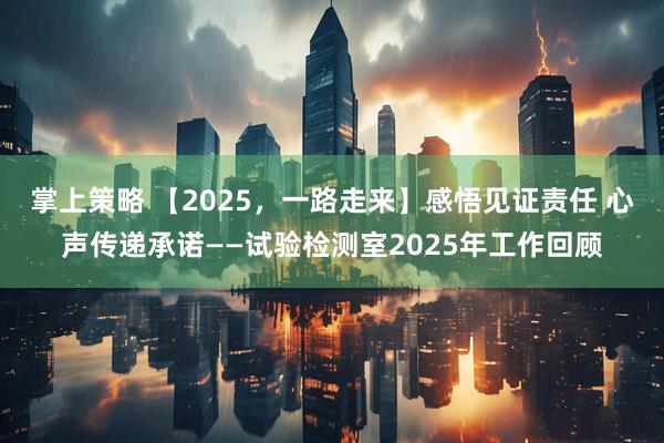 掌上策略 【2025，一路走来】感悟见证责任 心声传递承诺——试验检测室2025年工作回顾