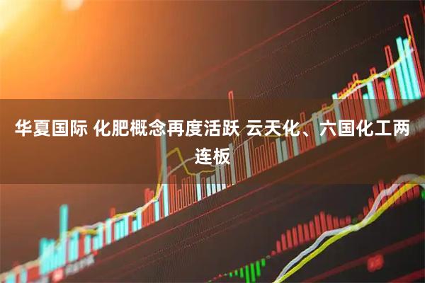 华夏国际 化肥概念再度活跃 云天化、六国化工两连板